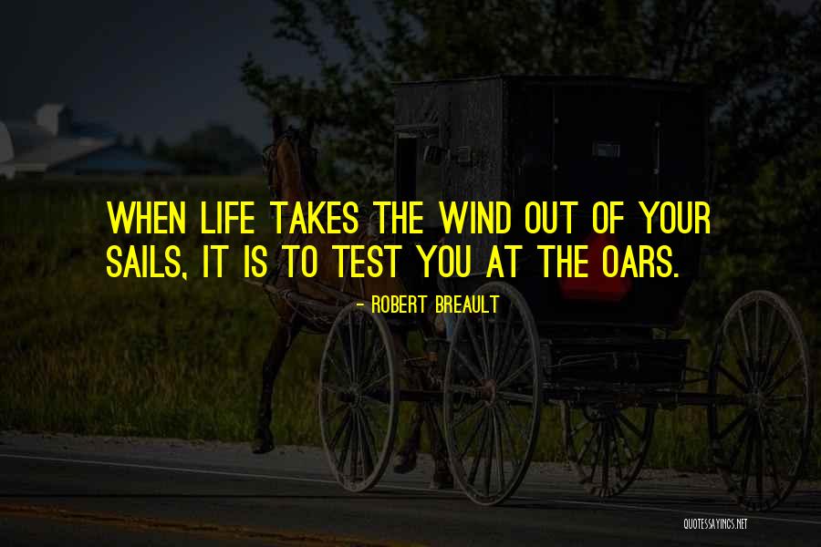 Life Tests Quotes By Robert Breault