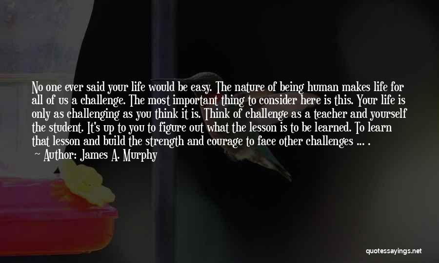 Life That Makes You Think Quotes By James A. Murphy