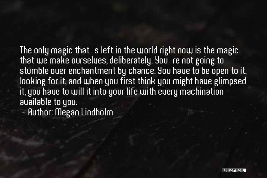 Life That Will Make You Think Quotes By Megan Lindholm