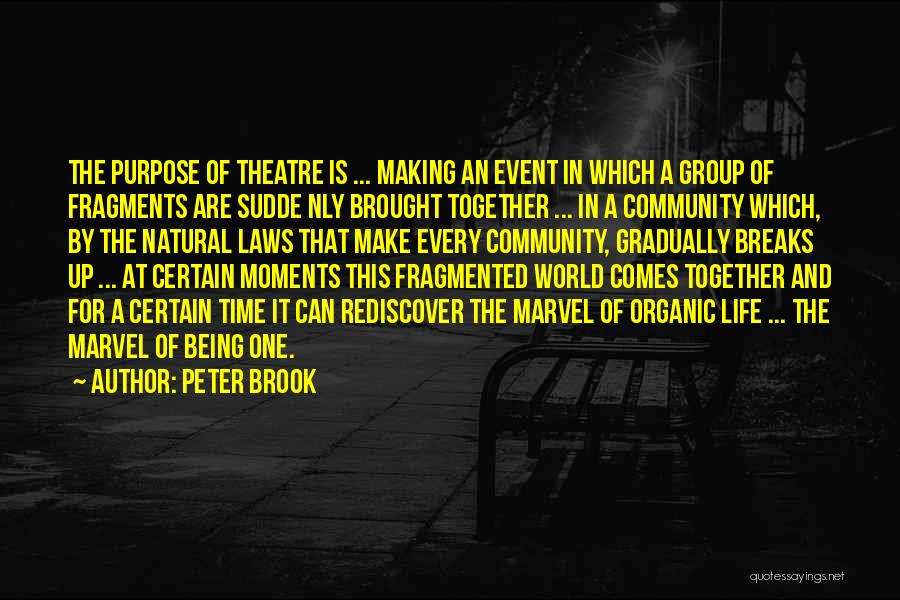 Life Theatre Quotes By Peter Brook