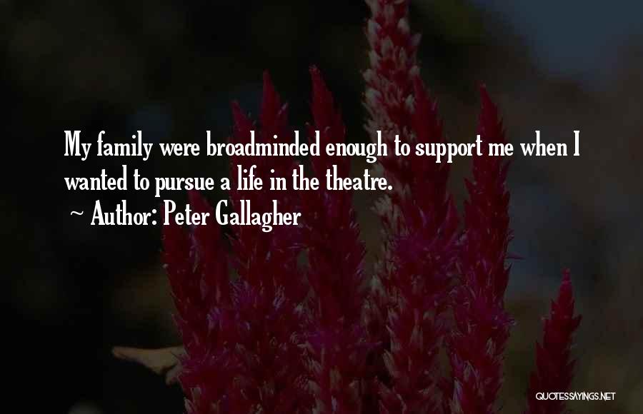 Life Theatre Quotes By Peter Gallagher