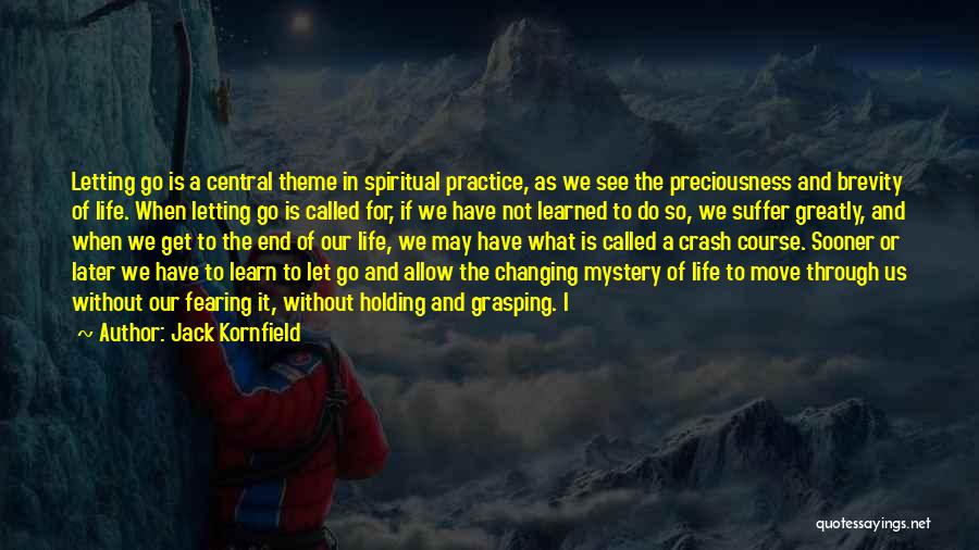 Life Theme Quotes By Jack Kornfield