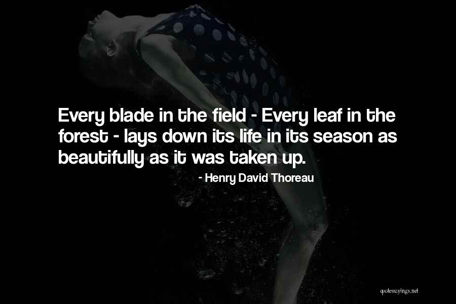 Life Thoreau Quotes By Henry David Thoreau Life Thoreau Quotes By Henry David Thoreau