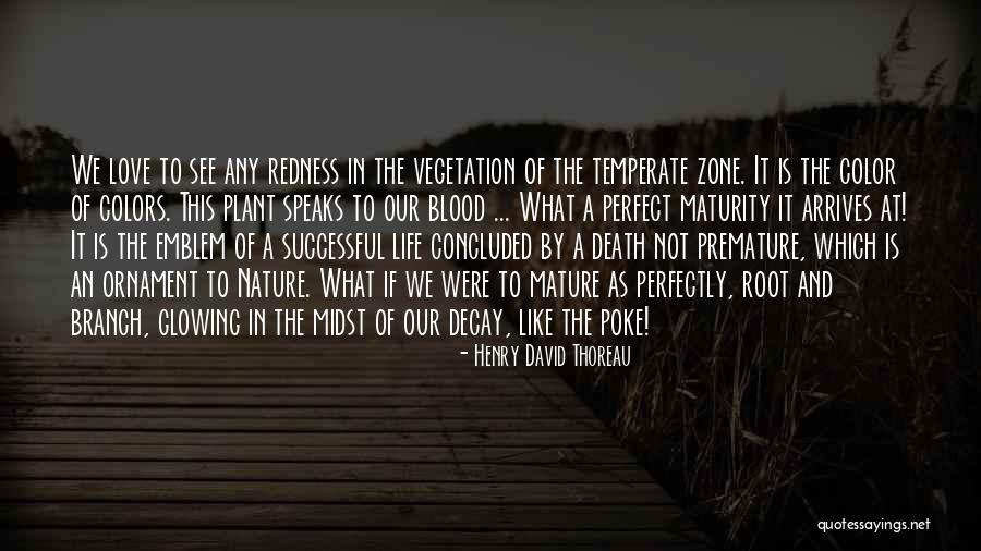 Life Thoreau Quotes By Henry David Thoreau Life Thoreau Quotes By Henry David Thoreau
