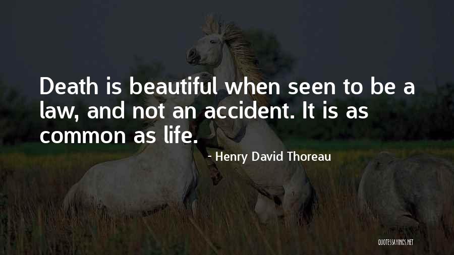 Life Thoreau Quotes By Henry David Thoreau Life Thoreau Quotes By Henry David Thoreau