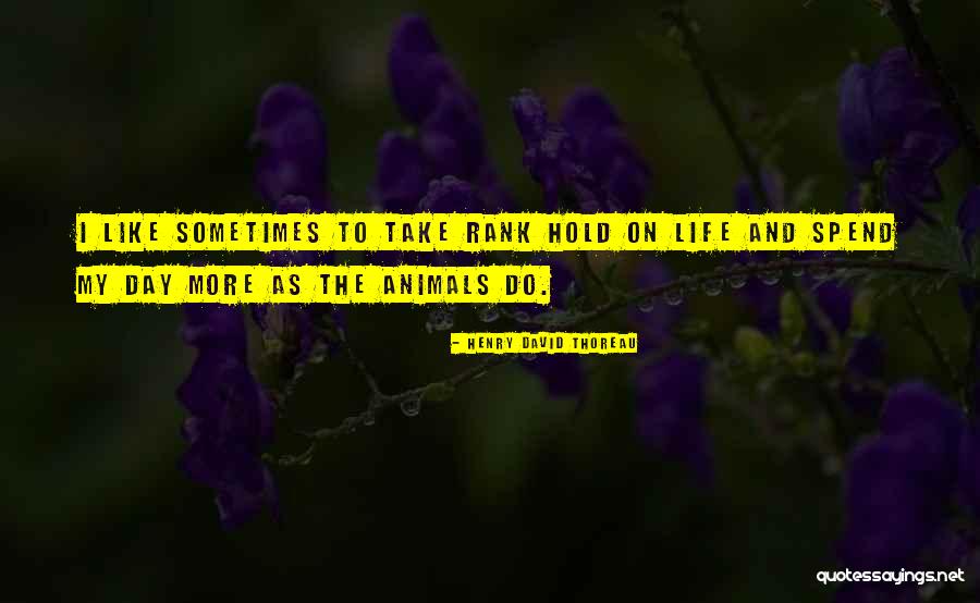 Life Thoreau Quotes By Henry David Thoreau Life Thoreau Quotes By Henry David Thoreau