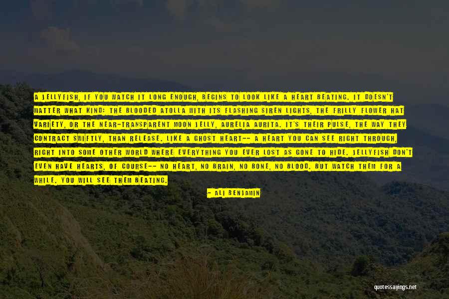Life Thought Provoking Quotes By Ali Benjamin Life Thought Provoking Quotes By Ali Benjamin