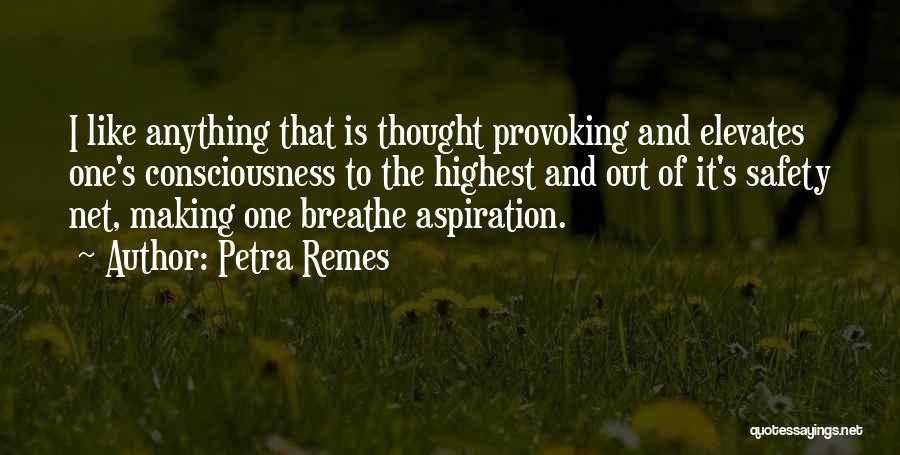 Life Thought Provoking Quotes By Petra Remes