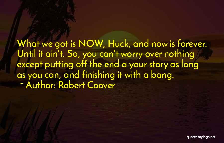 Life Time Story Quotes By Robert Coover