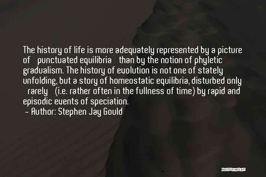 Life Time Story Quotes By Stephen Jay Gould