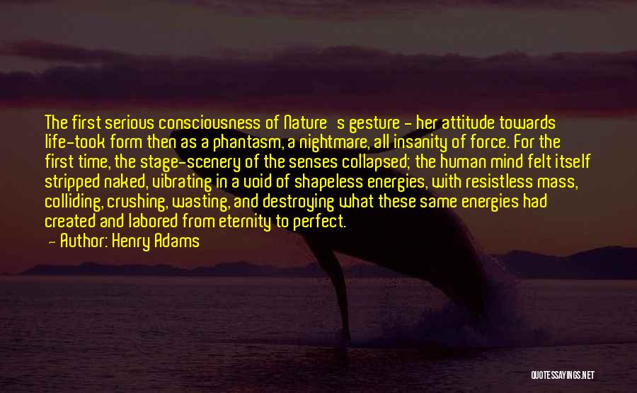 Life Time Wasting Quotes By Henry Adams