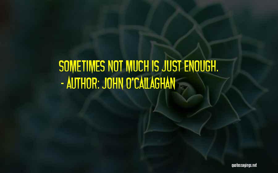 Life Tip Quotes By John O'Callaghan