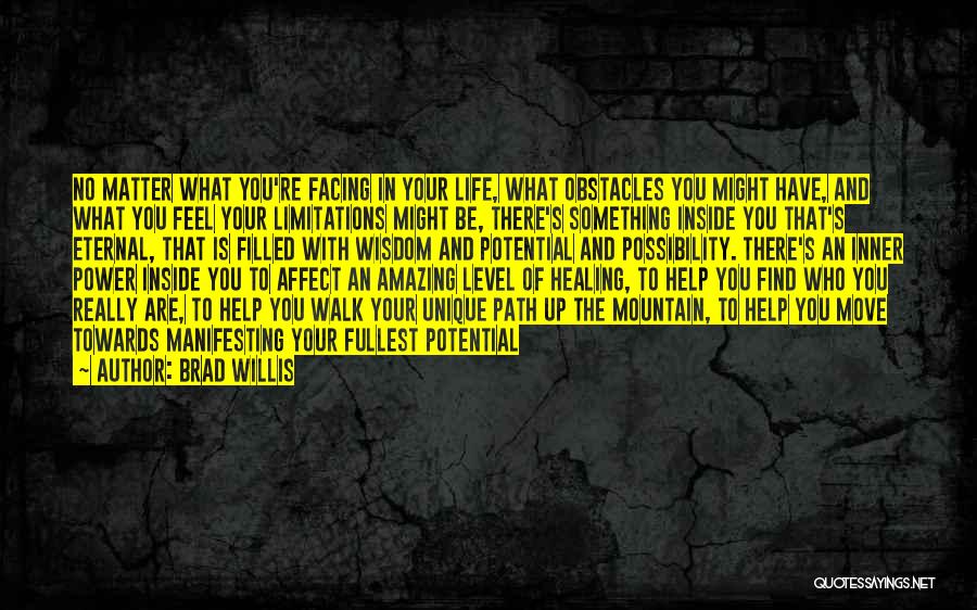Life To The Fullest Quotes By Brad Willis
