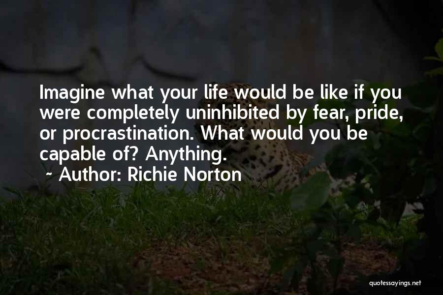 Life To The Fullest Quotes By Richie Norton