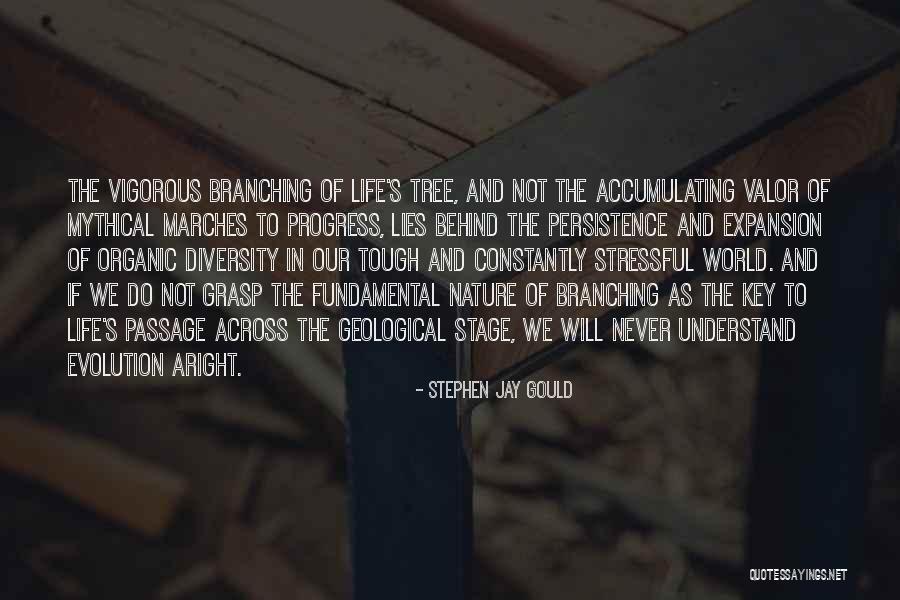 Life Tough Quotes By Stephen Jay Gould