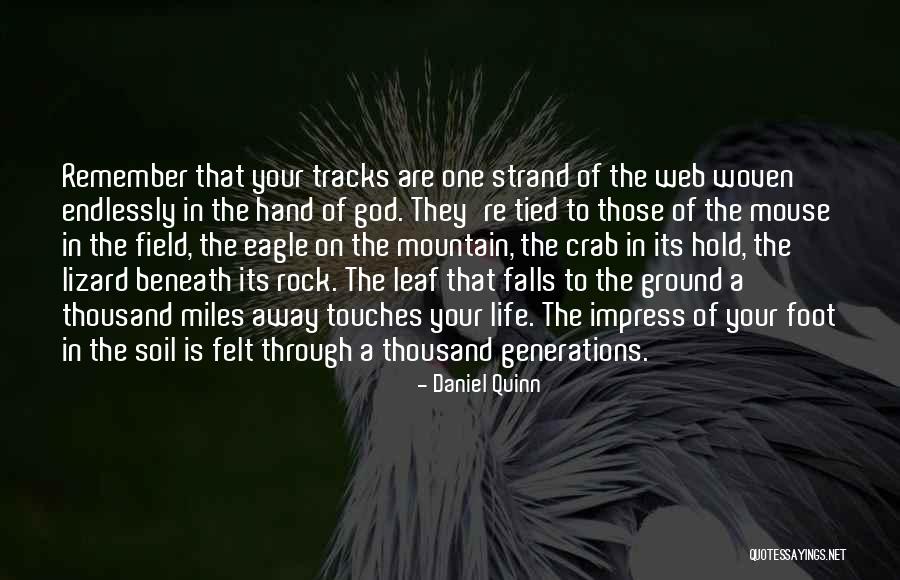 Life Tracks Quotes By Daniel Quinn Life Tracks Quotes By Daniel Quinn