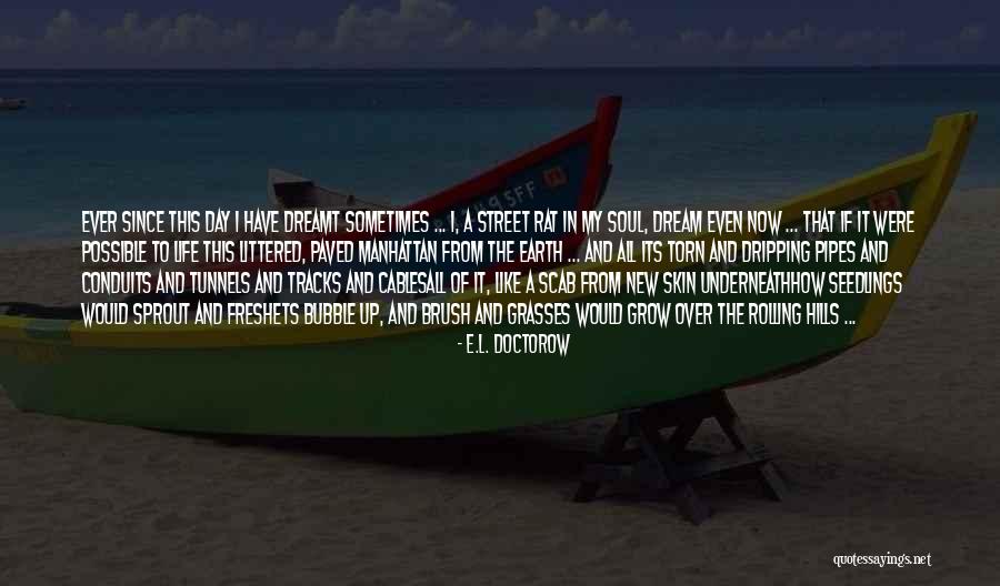 Life Tracks Quotes By E.L. Doctorow Life Tracks Quotes By E.L. Doctorow
