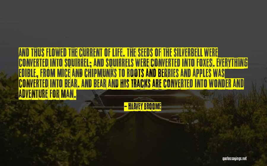 Life Tracks Quotes By Harvey Broome Life Tracks Quotes By Harvey Broome