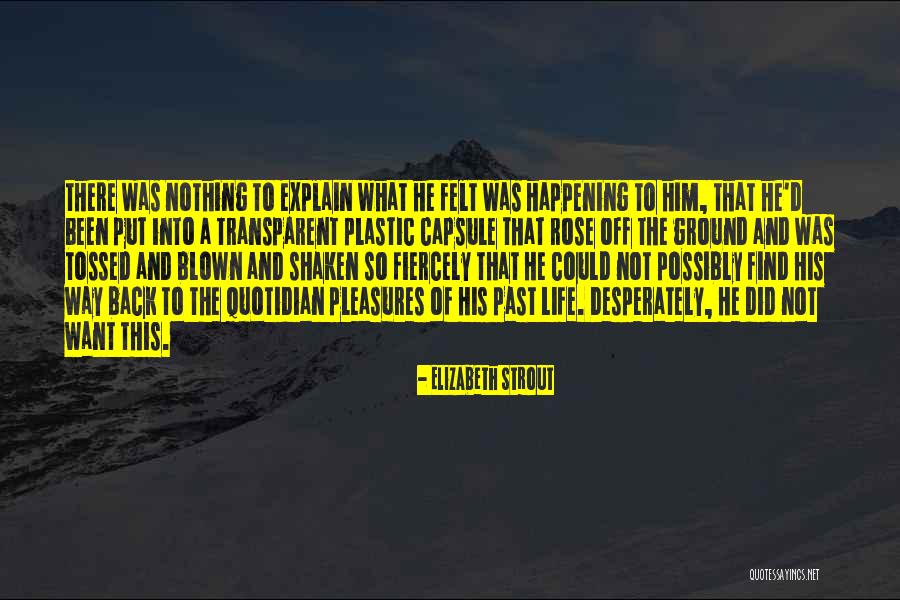 Life Transparent Quotes By Elizabeth Strout Life Transparent Quotes By Elizabeth Strout