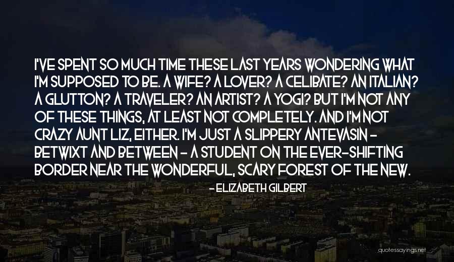 Life Traveler Quotes By Elizabeth Gilbert Life Traveler Quotes By Elizabeth Gilbert