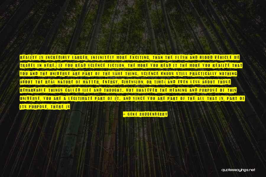 Life Traveler Quotes By Gene Roddenberry Life Traveler Quotes By Gene Roddenberry
