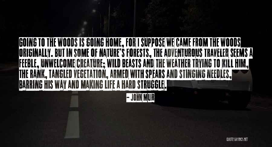 Life Traveler Quotes By John Muir Life Traveler Quotes By John Muir