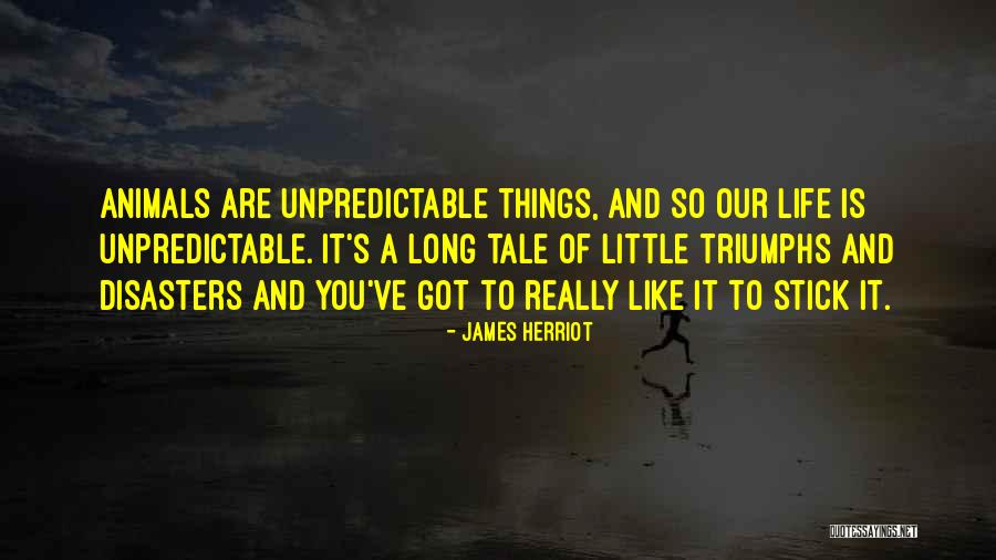 Life Triumphs Quotes By James Herriot Life Triumphs Quotes By James Herriot