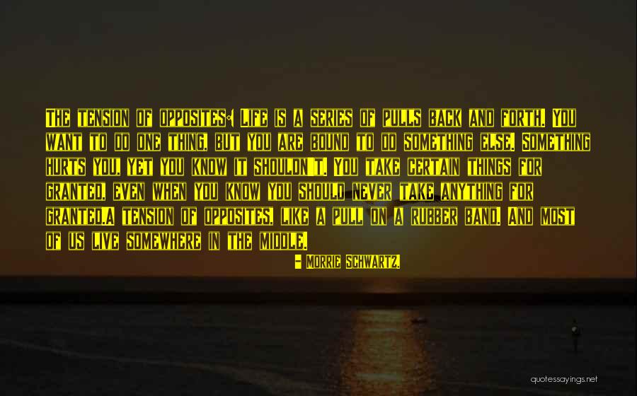 Life Tuesdays With Morrie Quotes By Morrie Schwartz. Life Tuesdays With Morrie Quotes By Morrie Schwartz.
