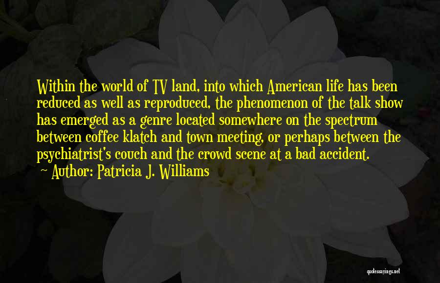 Life Tv Show Quotes By Patricia J. Williams