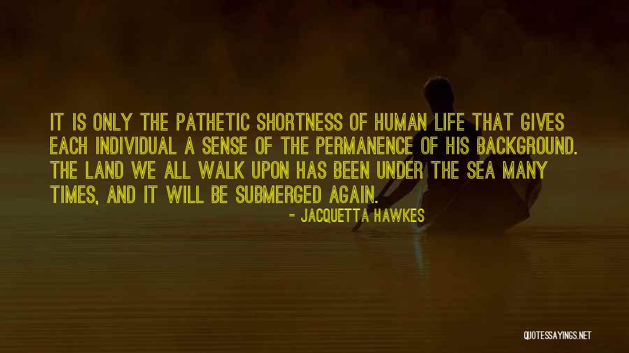 Life Under The Sea Quotes By Jacquetta Hawkes Life Under The Sea Quotes By Jacquetta Hawkes