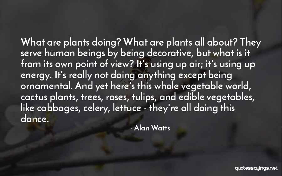 Life Vegetables Quotes By Alan Watts