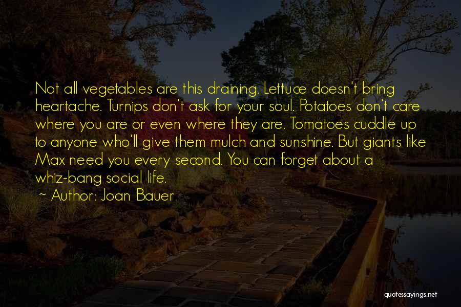 Life Vegetables Quotes By Joan Bauer