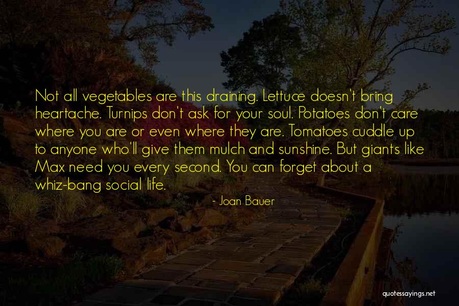 Life Vegetables Quotes By Joan Bauer