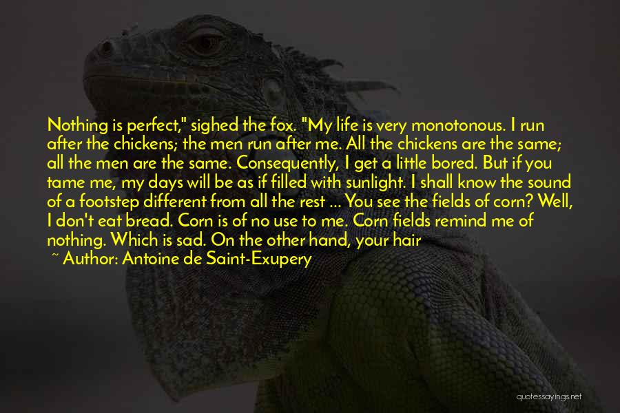 Life Very Sad Quotes By Antoine De Saint-Exupery