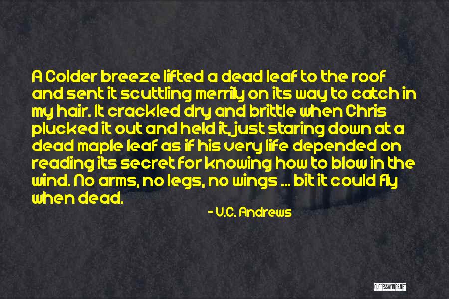 Life Very Sad Quotes By V.C. Andrews Life Very Sad Quotes By V.C. Andrews