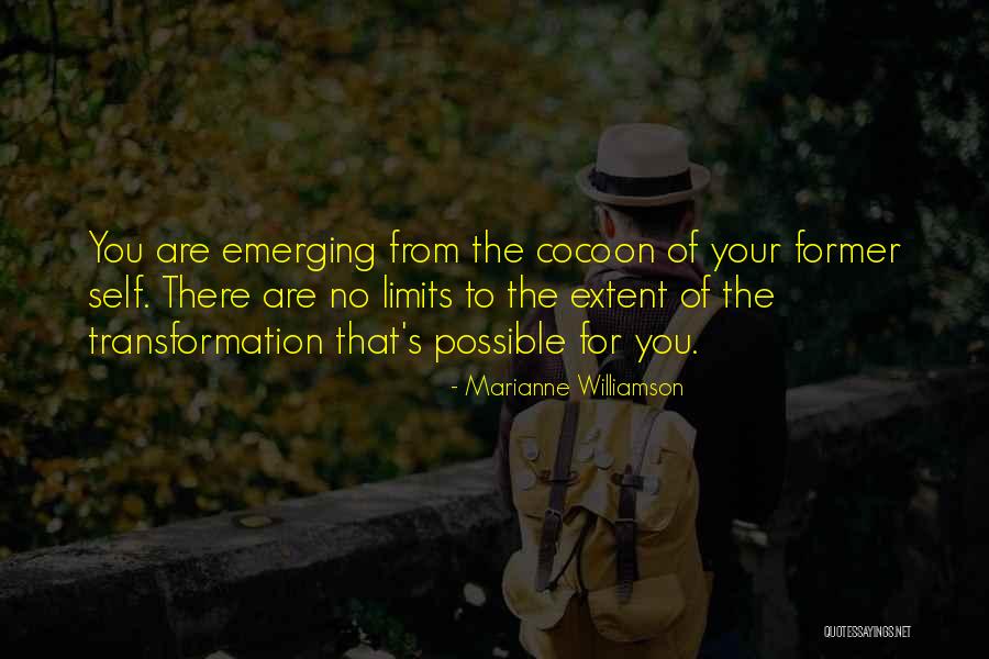 Life Vest Inside Quotes By Marianne Williamson Life Vest Inside Quotes By Marianne Williamson