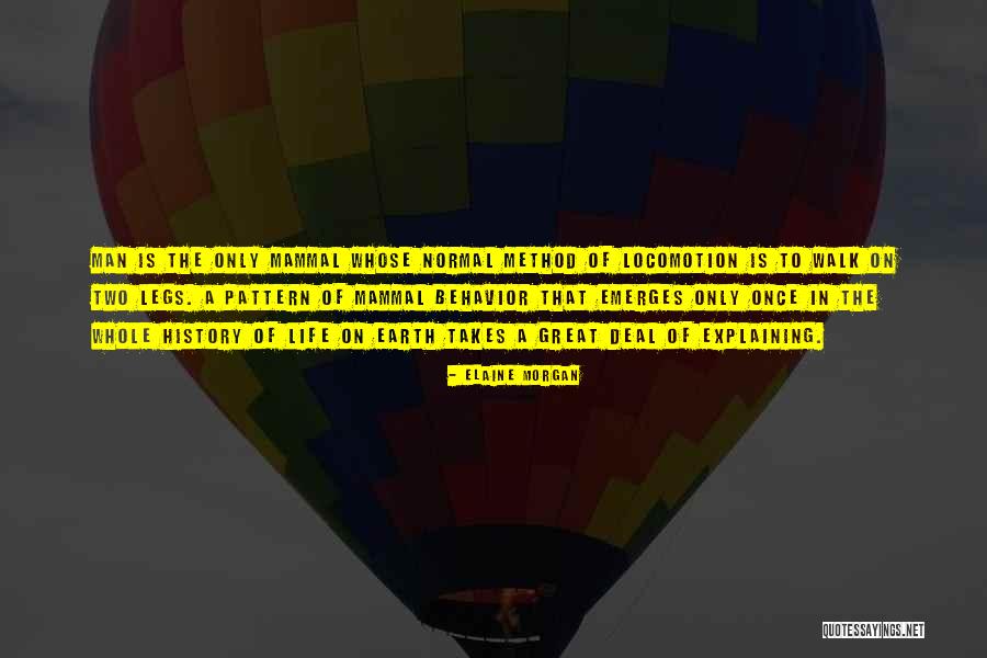 Life Walk Quotes By Elaine Morgan Life Walk Quotes By Elaine Morgan