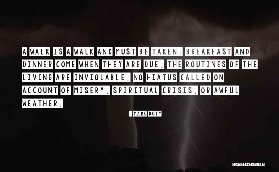 Life Walk Quotes By Mark Doty Life Walk Quotes By Mark Doty