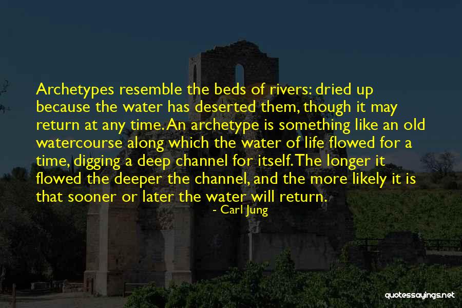 Life Water Quotes By Carl Jung