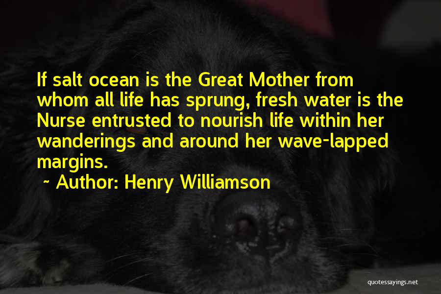 Life Wave Quotes By Henry Williamson