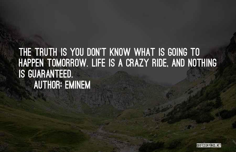 Life What A Ride Quotes By Eminem