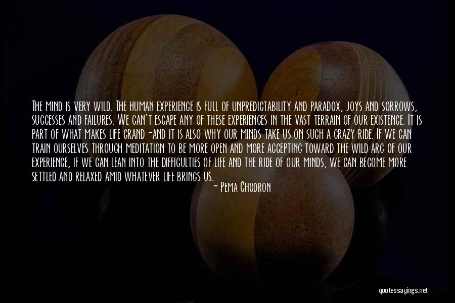 Life What A Ride Quotes By Pema Chodron Life What A Ride Quotes By Pema Chodron
