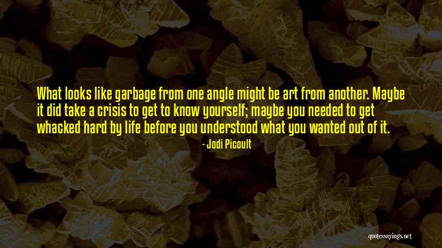 Life What You Did You Get Quotes By Jodi Picoult Life What You Did You Get Quotes By Jodi Picoult