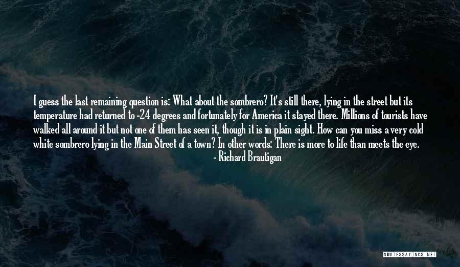 Life White Quotes By Richard Brautigan