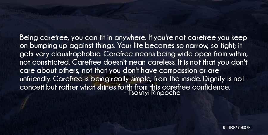 Life Wide Open Quotes By Tsoknyi Rinpoche Life Wide Open Quotes By Tsoknyi Rinpoche