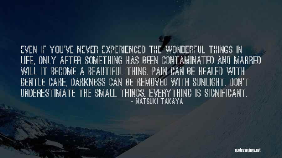 Life Will Be Beautiful Quotes By Natsuki Takaya Life Will Be Beautiful Quotes By Natsuki Takaya