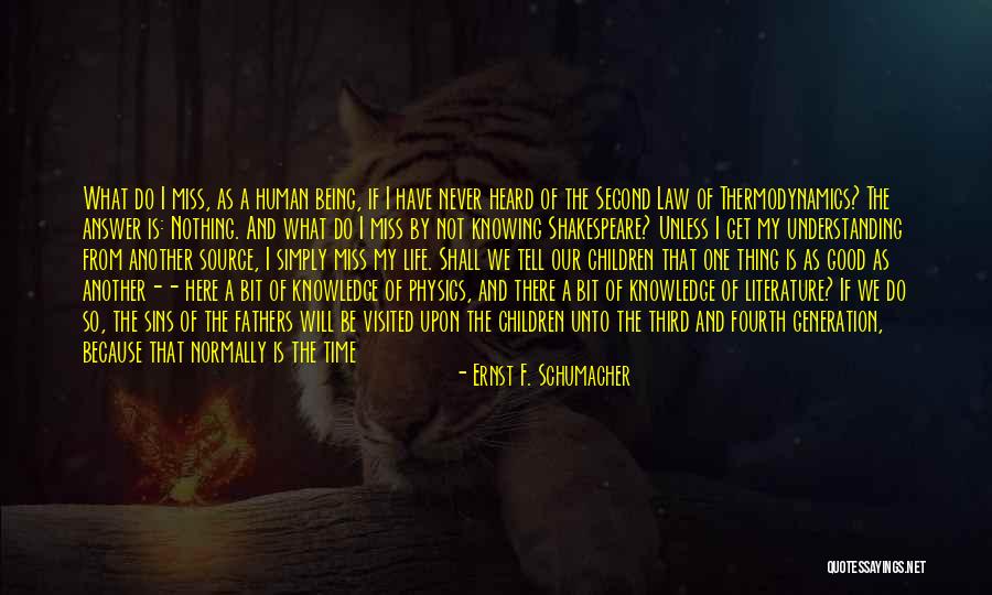 Life Will Be Good Quotes By Ernst F. Schumacher Life Will Be Good Quotes By Ernst F. Schumacher