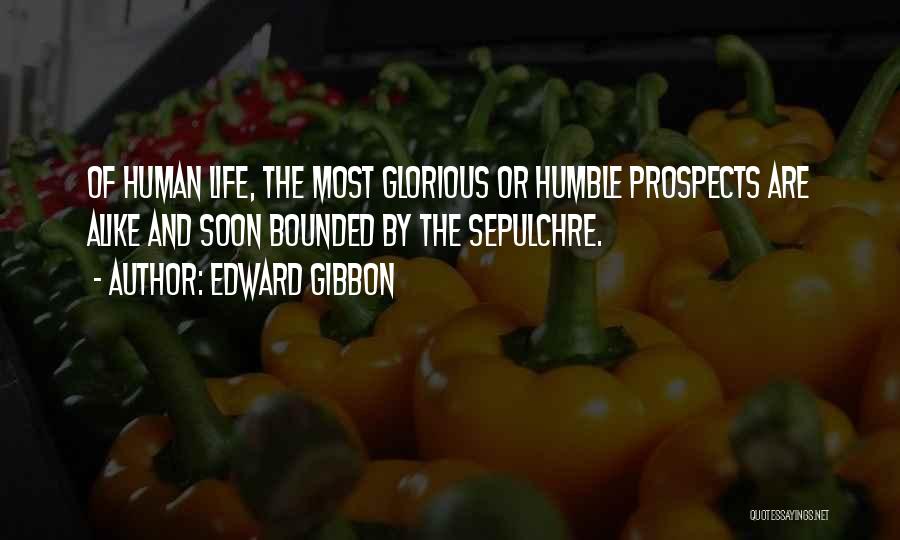 Life Will Humble You Quotes By Edward Gibbon