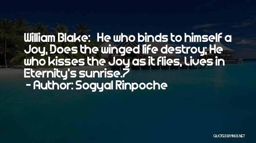 Life William Blake Quotes By Sogyal Rinpoche Life William Blake Quotes By Sogyal Rinpoche