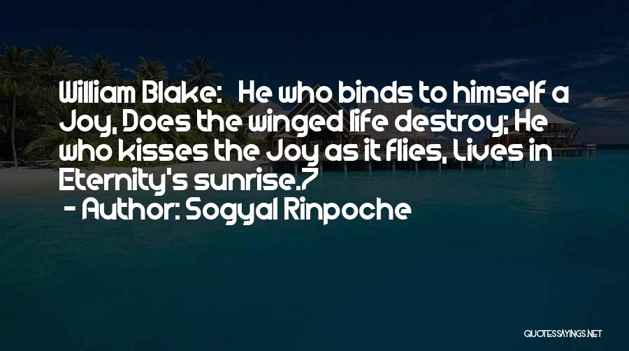 Life William Blake Quotes By Sogyal Rinpoche